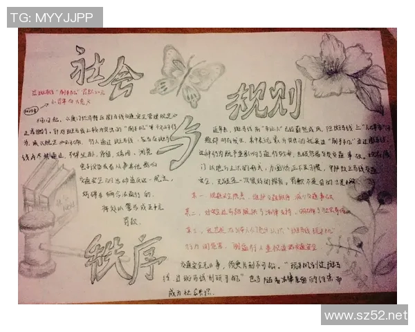 以规则为核心构建社会秩序的意义与实践探索