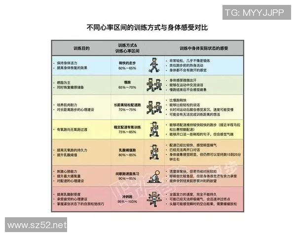运动员心率监测与优化训练效果的关键作用及其科学研究进展