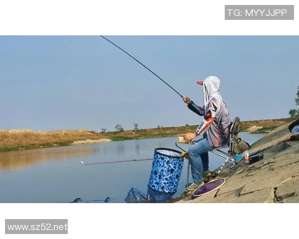 创新渔具技术与发展趋势探析：提升钓鱼体验的未来方向