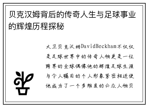 贝克汉姆背后的传奇人生与足球事业的辉煌历程探秘